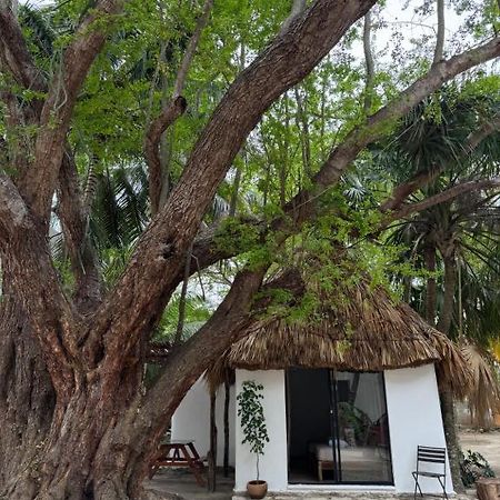 Cabanas Camping Ria Celestun Dış mekan fotoğraf