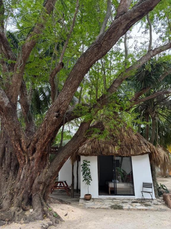 Cabanas Camping Ria Celestun Dış mekan fotoğraf